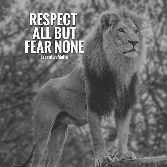 Meet your Posher, Jr. - Picture 4 of 4